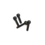 Socket Cap Hex Screws M2x10mm (4) Hardware