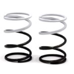 RIDE 1/8 GT Pro Springs (2) (H40mm) Spec 2.2mm White